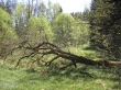 Jindřišské údolí