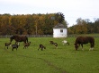 Krajina útulná
