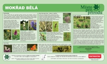 Bělá – informační panel