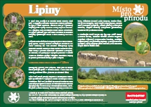 Lipiny – informační panel