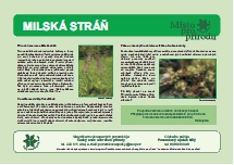 Milská stráň – informační panel