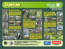 Opičák – informační panel