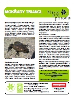 Triangl – informační panel