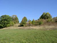 ochrana přírody ještěrčí rezervace Brod nad Labem  jesterci raj photo