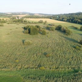 Sedmihorské-mokřady-foto-Juračka